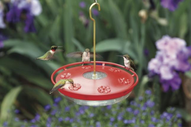 wild birds unlimited hummingbird food recipe